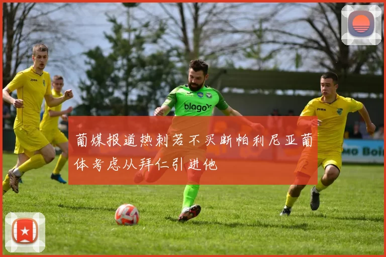 葡媒报道热刺若不买断帕利尼亚葡体考虑从拜仁引进他
