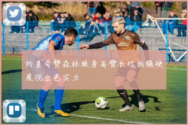 约基奇赞森林狼身高臂长对抗强硬展现出色实力