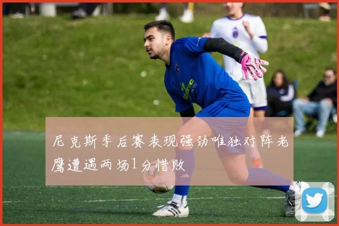 尼克斯季后赛表现强劲唯独对阵老鹰遭遇两场1分惜败